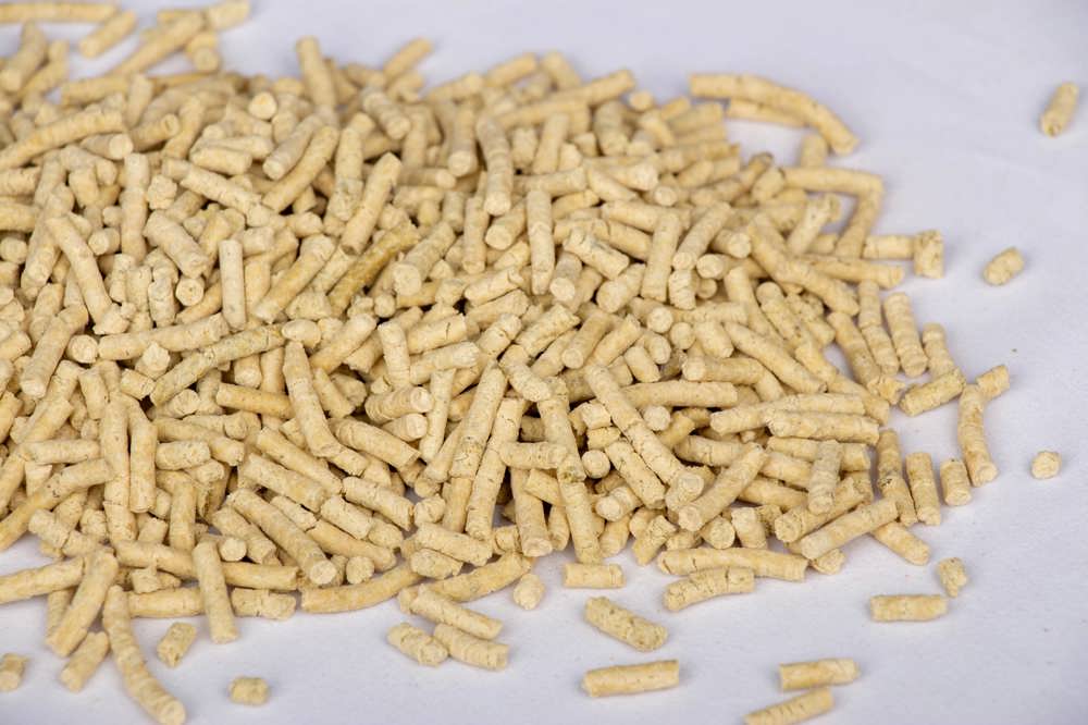 Pregelatinized Pea Flour Pellets