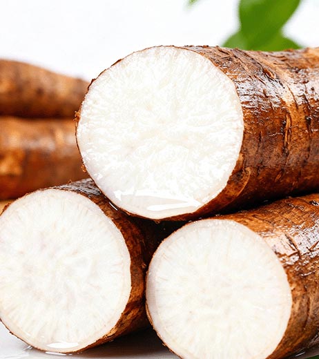 Cassava series